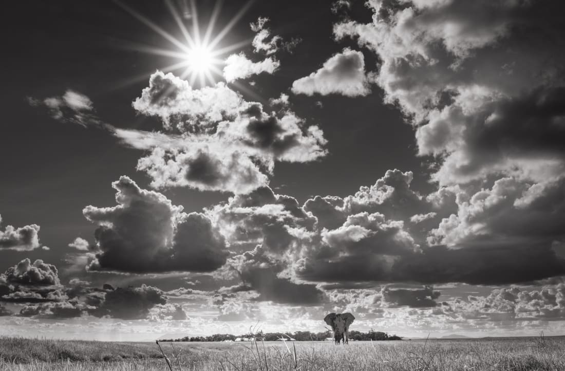 A lone elephant standing small beneath towering clouds and a sunstar, in black and white, Masai Mara