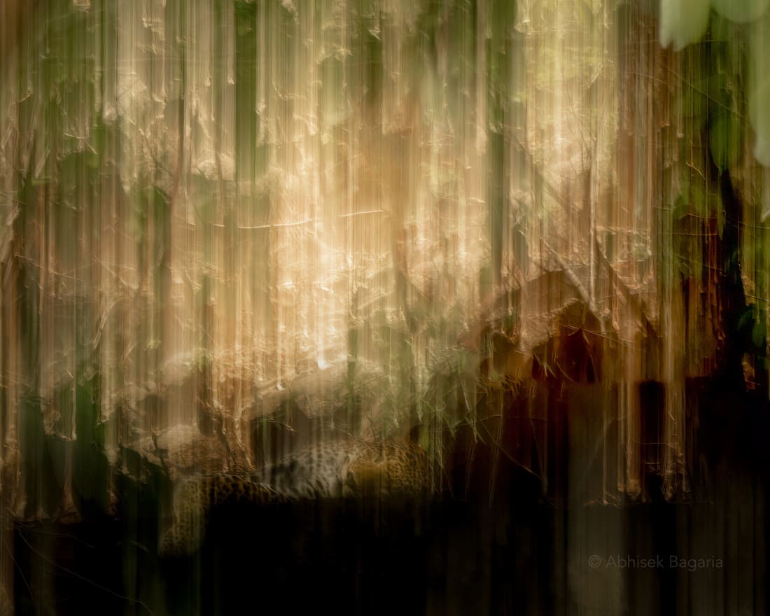 An intentional-camera-movement abstract of an Indian leopard dissolving into vertical streaks of forest light, Pench