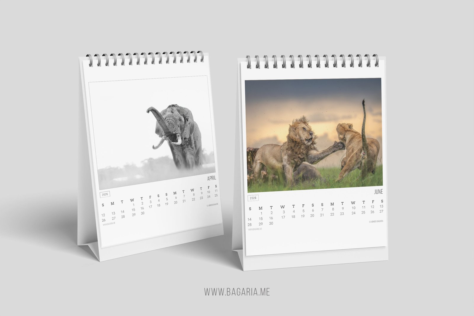 2026_CalendarMockupPhoto