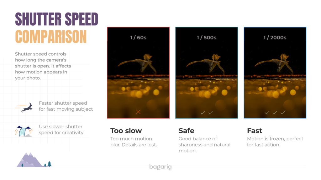 Shutter speed comparison chart for capturing sharp photographs and avoid wildlife photos which are blurry