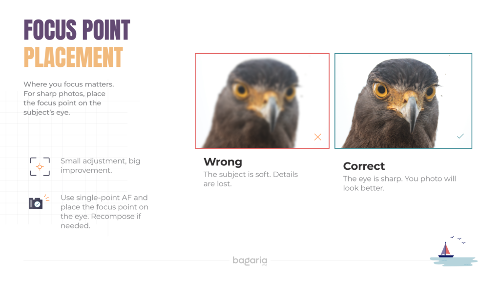 Using single point continuous autofocus on a bird's eye to fix blurry wildlife photos